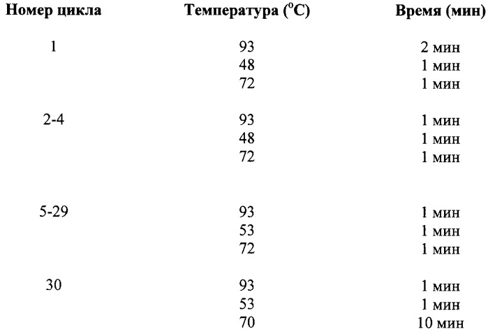 Рекомбинантная плазмидная днк pfastbac-b9rz, содержащая фрагмент генома вируса оспы обезьян, кодирующий интерферон гамма-связывающий белок, и штамм бакуловируса bvb9rz, продуцирующий растворимый интерферон гамма-связывающий белок вируса оспы обезьян (патент 2318874)