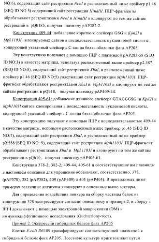 Вирусоподобные частицы, включающие гибридный белок белка оболочки бактериофага ар205 и антигенного полипептида (патент 2409667)