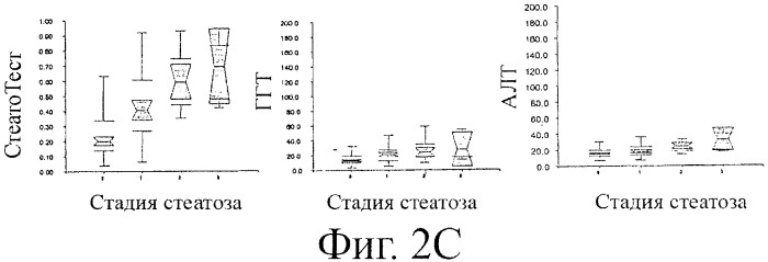 Способ диагностики стеатоза печени по биохимическим маркерам (патент 2403576)