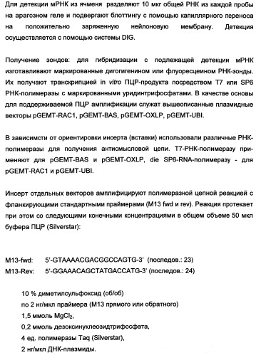 Новые последовательности нуклеиновых кислот и их применение в способах достижения устойчивости к патогенам в растениях (патент 2346985)