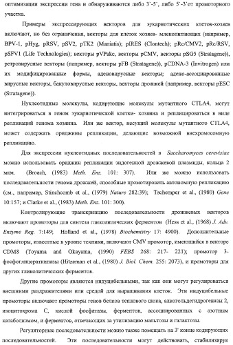 Способ лечения сердечно-сосудистого заболевания с применением растворимого ctla4 (патент 2353384)