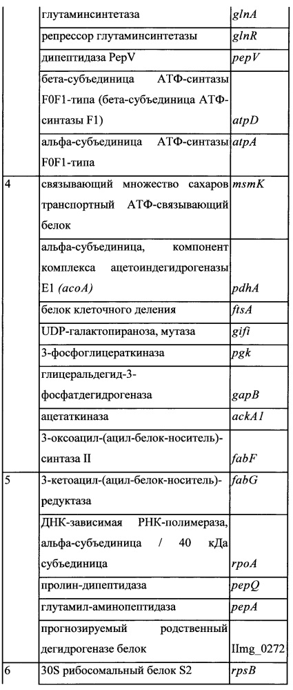 Система полицистронной экспрессии для бактерий (патент 2644346)