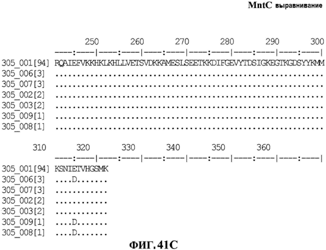 Стабильные иммуногенные композиции антигенов staphylococcus aureus (патент 2570730)