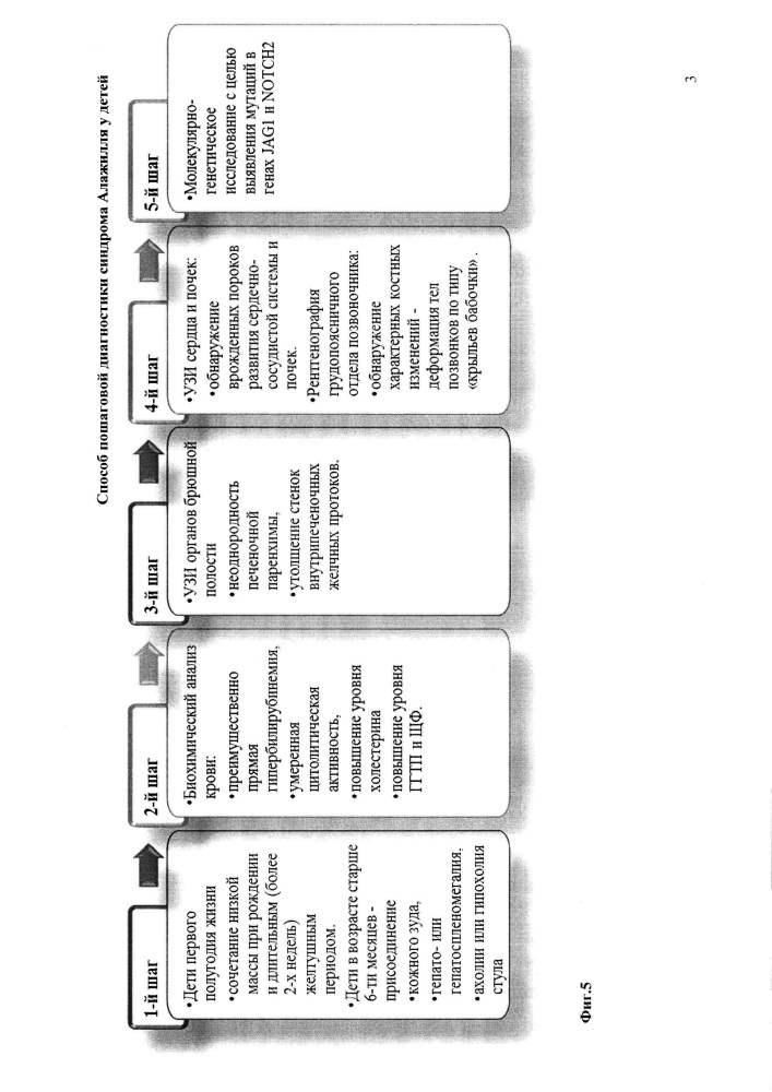 Способ обследования детей с подозрением на синдром алажилля (патент 2629828)