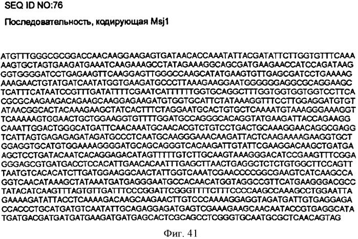 Химерные вирусоподобные частицы, содержащие гемагглютинин, сходные с частицами вируса гриппа (патент 2569195)