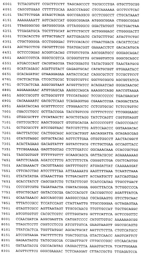 Связывающие молекулы, обладающие терапевтической активностью (патент 2386639)