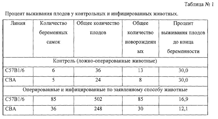 Способ моделирования кандидозной инфекции у экспериментальных животных (патент 2289853)