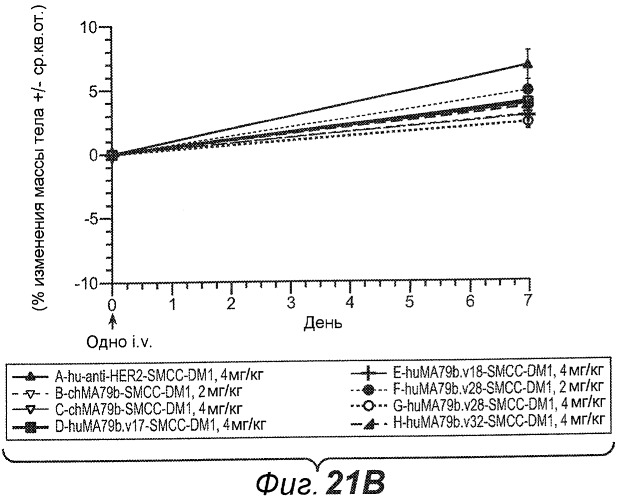 Анти-cd79b антитела и иммуноконъюгаты и способы их применения (патент 2511410)