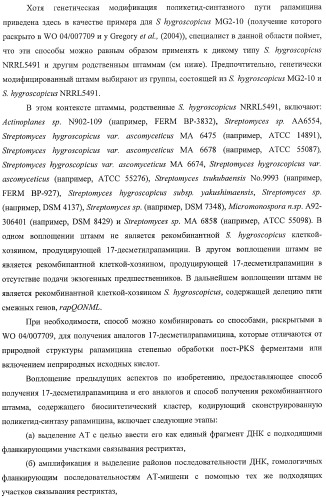 Получение поликетидов и других природных продуктов (патент 2430922)