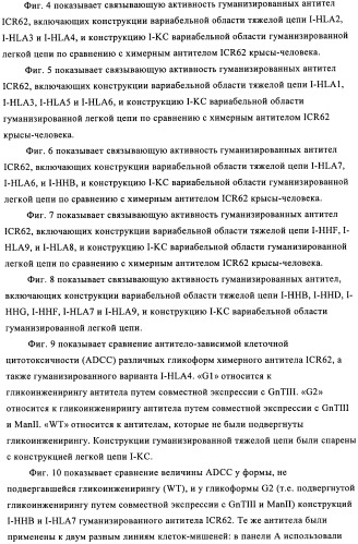 Антигенсвязывающие молекулы, которые связывают рецептор эпидермального фактора роста (egfr), кодирующие их векторы и их применение (патент 2457219)