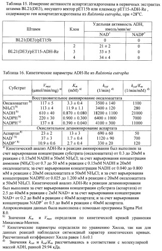 Бактерия семейства enterobacteriaceae - продуцент l-аспарагиновой кислоты или метаболитов, производных l-аспарагиновой кислоты, и способ получения l-аспарагиновой кислоты или метаблитов, производных l-аспарагиновой кислоты (патент 2472853)