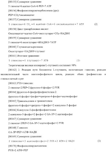 Использование фосфокетолазы для продукции полезных метаболитов (патент 2322496)