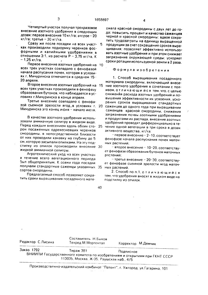 Способ выращивания посадочного материала смородины (патент 1658897)