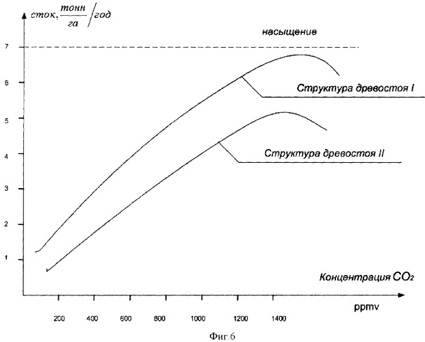 Способ определения стока поглощаемого из атмосферы углерода древесной растительностью (патент 2342636)