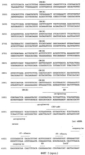Антитела к a -пептиду и их применение (патент 2341533)