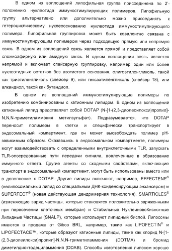 Мотивы последовательности рнк в контексте определенных межнуклеотидных связей, индуцирующие специфические иммуномодулирующие профили (патент 2435851)