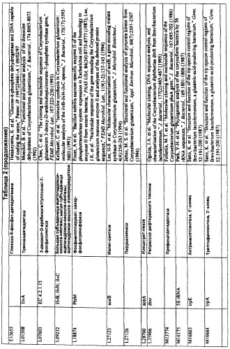 Гены corynebacterium glutamicum, кодирующие белки, участвующие в гомеостазе и адаптации (патент 2304616)