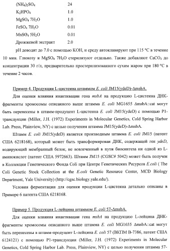 Способ получения l-треонина с использованием бактерии, принадлежащей к роду escherichia, в которой инактивирован ген msba (патент 2392313)