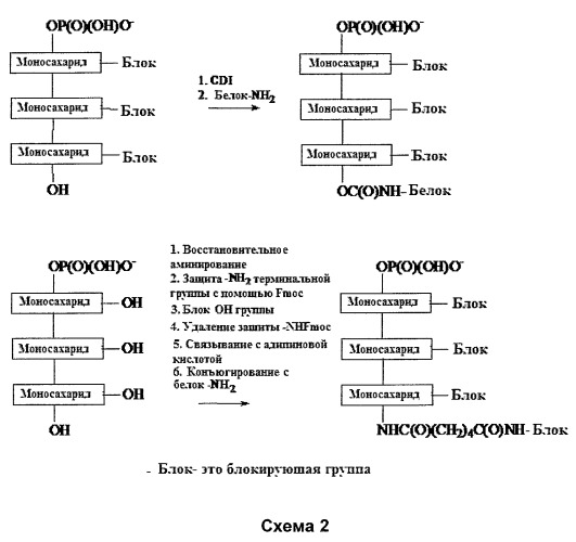 Модифицированный капсулярный сахарид, способ его получения и применение (патент 2563808)