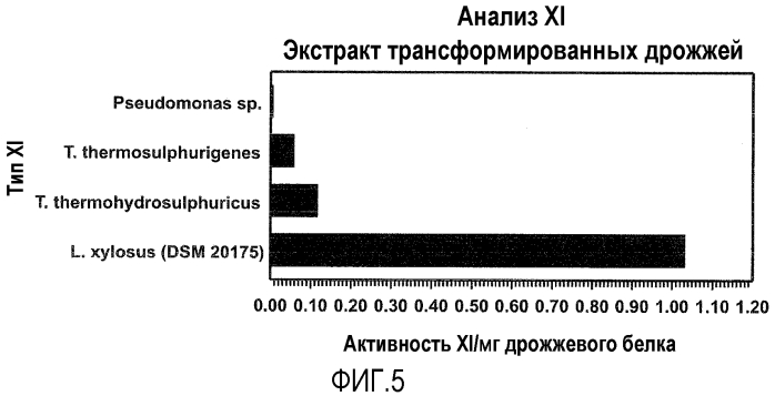 Микроорганизм, экспрессирующий ксилозоизомеразу (патент 2553537)