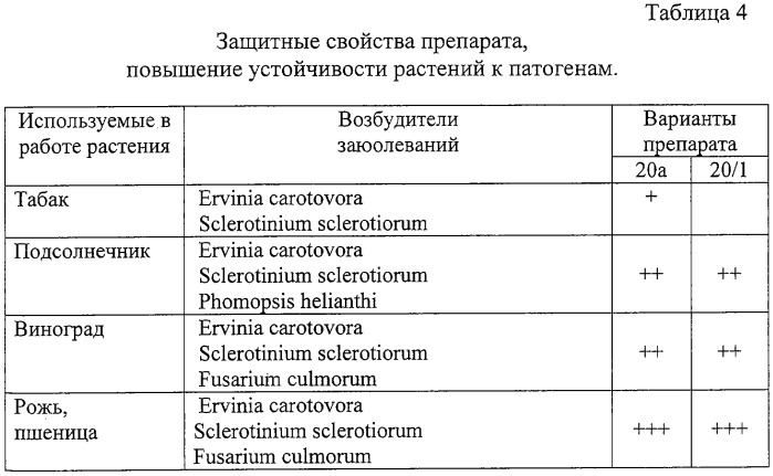 Препарат для защиты растений от возбудителей болезней сельскохозяйственных культур и винограда с ростстимулирующим эффектом, способ получения этого препарата и штаммы для его осуществления (патент 2313941)