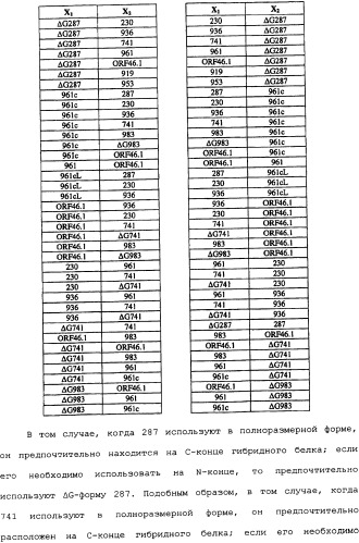 Гибридная и тандемная экспрессия белков нейссерий (патент 2339646)