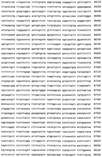 Применение s1p (патент 2362565)