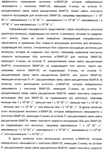 Иммунологические анализы активности ботулинического токсина серотипа а (патент 2491293)