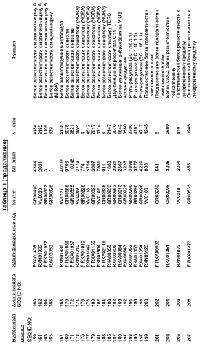 Гены corynebacterium glutamicum, кодирующие белки резистентности и толерантности к стрессам (патент 2303635)