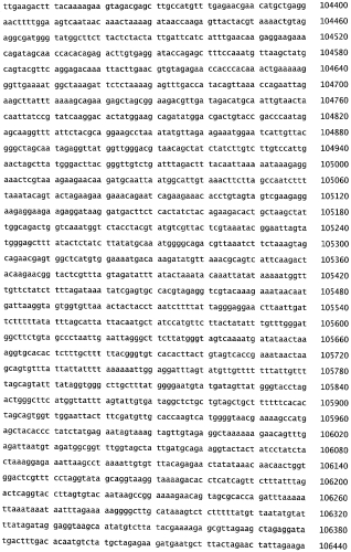 Бактериофаг, обладающий активностью против pseudomonas aeruginosa, белки бактериофага и способы их применения (патент 2580248)