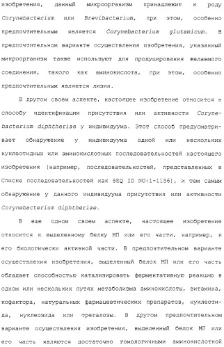 Гены corynebacterium glutamicum, кодирующие белки метаболических путей (патент 2306339)