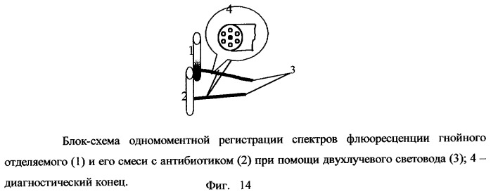 Способ люминесцентной диагностики и/или качественной оценки состояния биологического объекта и устройство для его осуществления (патент 2254372)