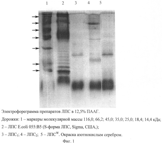 Способ получения липополисахарида возбудителя чумы (патент 2483112)