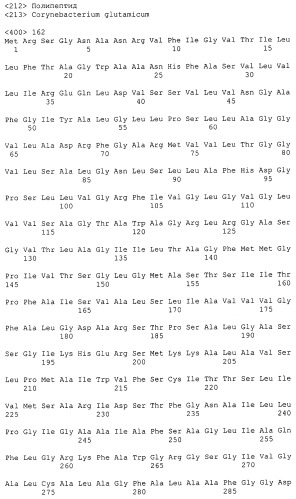 Гены corynebacterium glutamicum, кодирующие белки резистентности и толерантности к стрессам (патент 2303635)