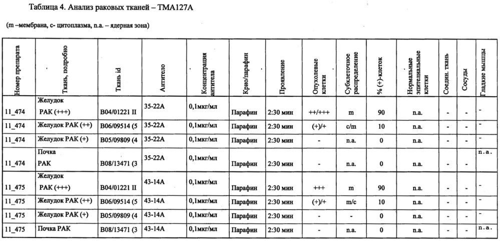 Антитела против клаудина 18.2 для диагностики рака (патент 2661772)
