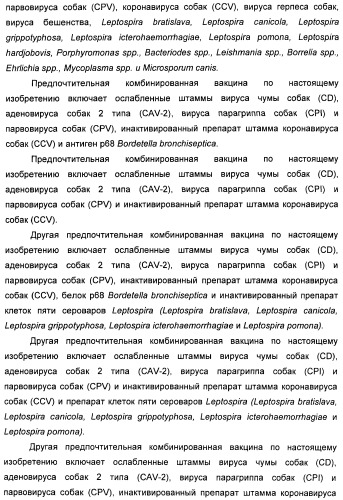 Поливалентные вакцины для собак против leptospira bratislava и других патогенов (патент 2400248)