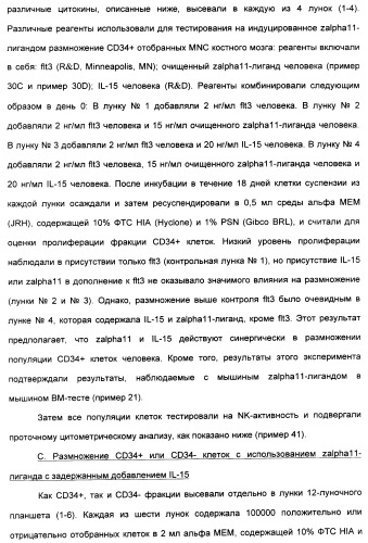 Выделенный полипептид, связывающий рецептор zalpha11-лиганда (варианты), кодирующий его полинуклеотид (варианты), вектор экспрессии (варианты) и клетка-хозяин (варианты) (патент 2346951)