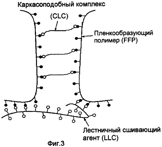 Водопоглощающие клеевые композиции и способы их получения и применения (патент 2416433)