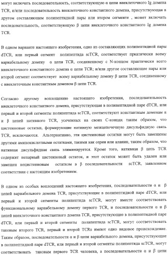 Экспонирование т-клеточных рецепторов (патент 2346004)