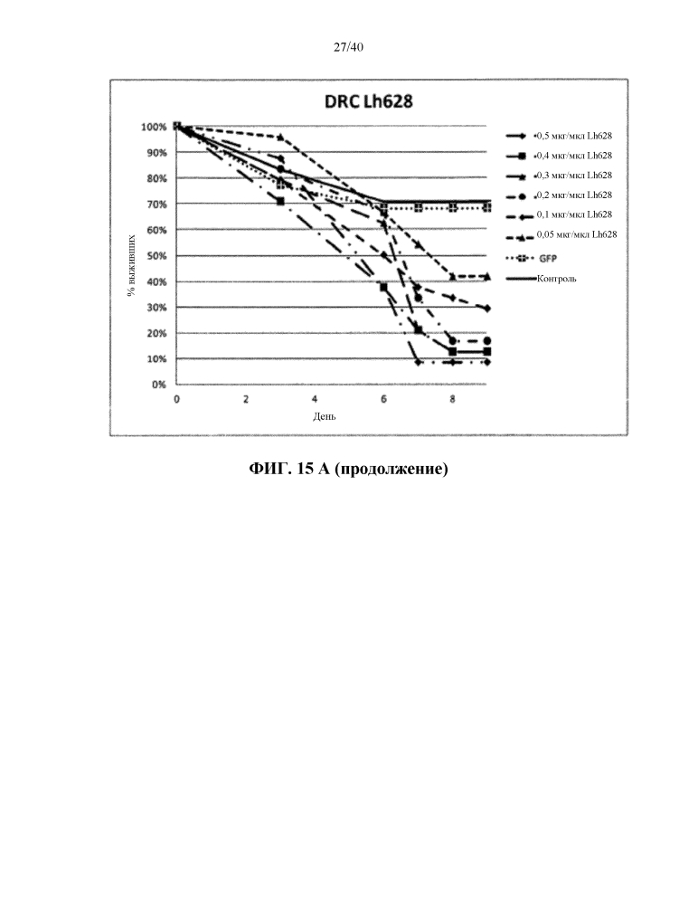 Подавление экспрессии генов у насекомых-вредителей (патент 2619219)