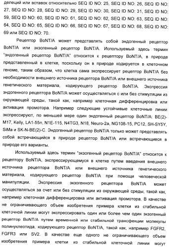 Иммунологические анализы активности ботулинического токсина серотипа а (патент 2491293)