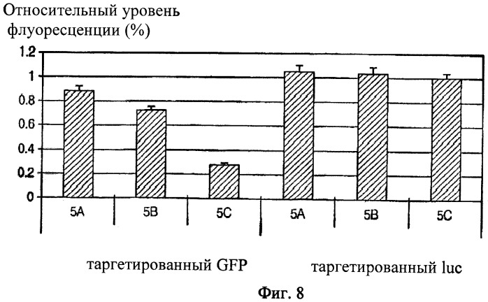 Биодеградируемые катионные полимеры (патент 2440380)