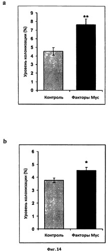 Липохитоолигосахариды, стимулирующие арбускулярно-микоризный симбиоз (патент 2539028)