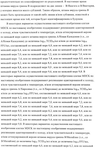 Линии клеток почки собаки майдин-дэрби (mdck), поддерживающие рост вирусов до высоких титров, и способ применения этих клеток в биореакторе (патент 2487935)