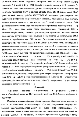 Хиральные диацилгидразиновые лиганды для модуляции экспрессии экзогенных генов с помощью экдизон-рецепторного комплекса (патент 2490253)