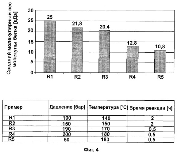 Способ производства гидролизатов белков (патент 2374893)