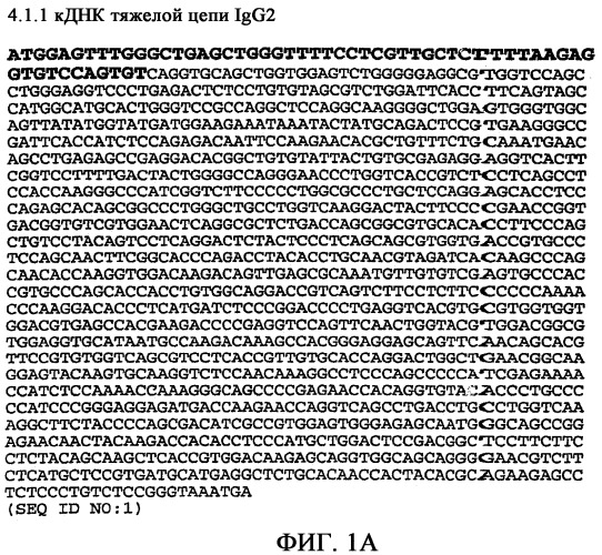 Применение антител к ctla-4 (патент 2346702)