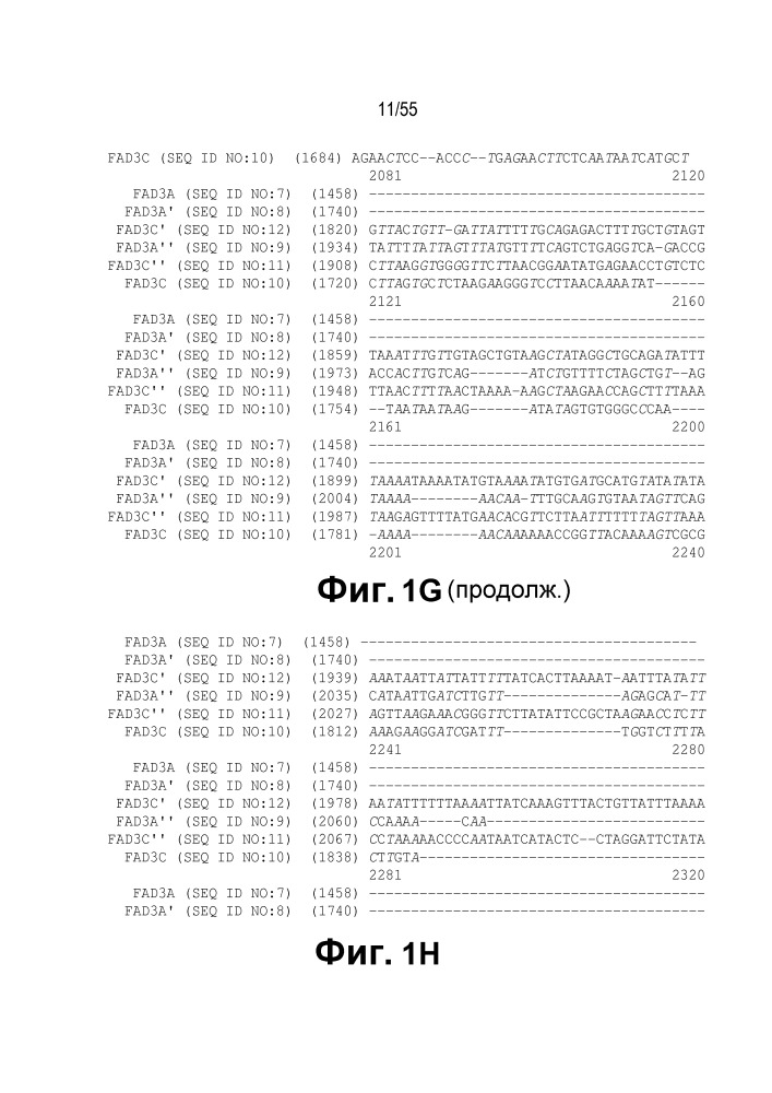 Локусы fad3 для выполнения операций и соответствующие связывающиеся со специфическими сайтами-мишенями белки, способные к вызову направленных разрывов (патент 2665811)