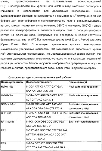 Нейссериальные вакцинные композиции, содержащие комбинацию антигенов (патент 2317106)