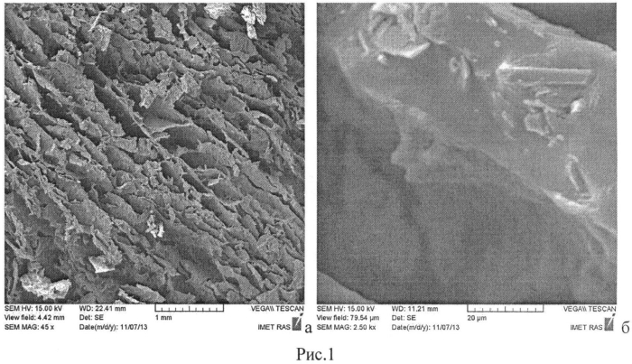 Способ получения пористых хитозановых губок, содержащих фосфаты кальция, для заполнения костных дефектов (патент 2554811)